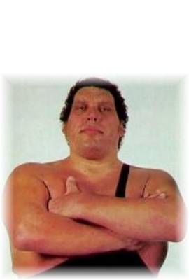 Andre The Giant Profile Photo