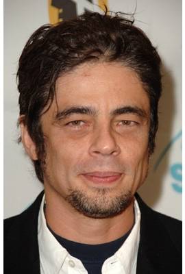 Benicio del Toro Profile Photo