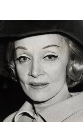 Marlene Dietrich Profile Photo