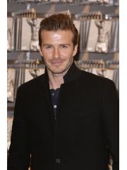 David Beckham Profile Photo