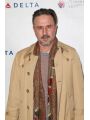 David Arquette Photo