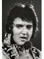 celeb image of Elvis Presley