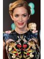 Emily Blunt Photo