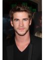 Liam Hemsworth Profile Photo