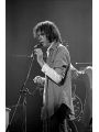 Neil Young Photo