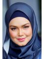 Siti Nurhaliza Photo